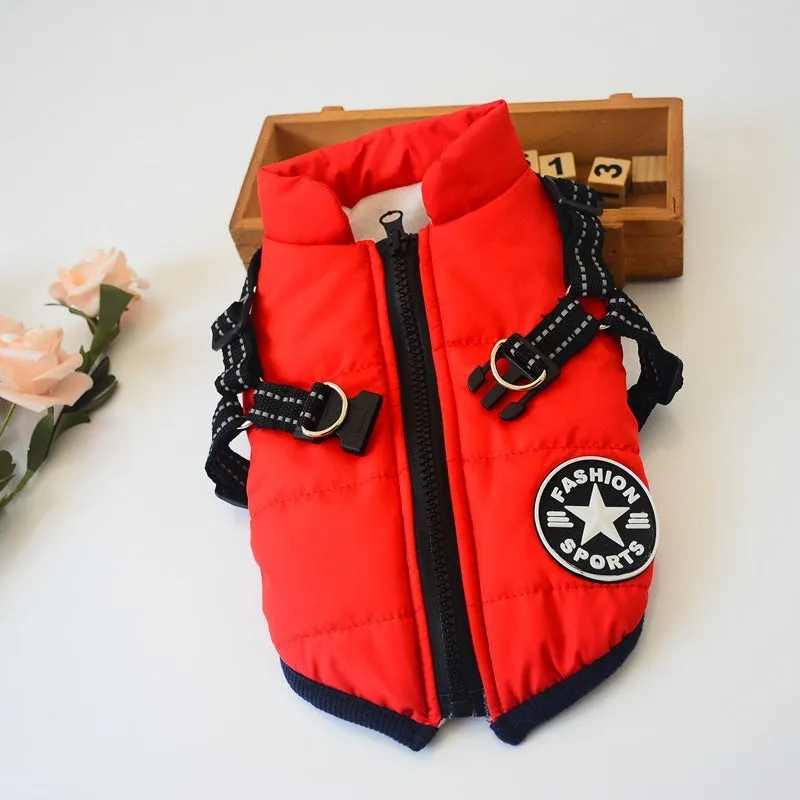 Small dog wearing a waterproof reflective coat with zipper and adjustable strap, available in multiple colours and nine sizes