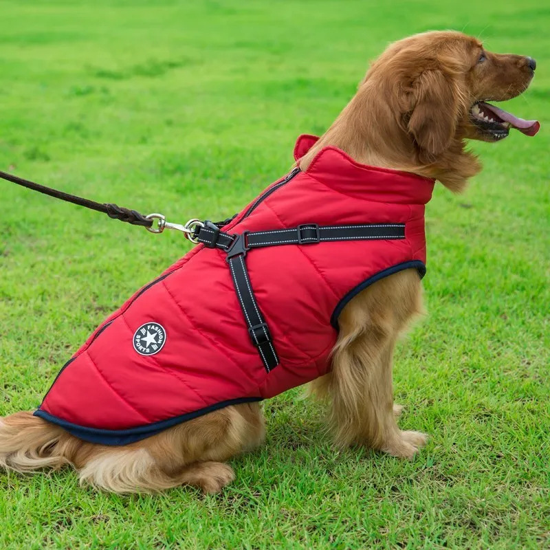 Small dog wearing a waterproof reflective coat with zipper and adjustable strap, available in multiple colours and nine sizes