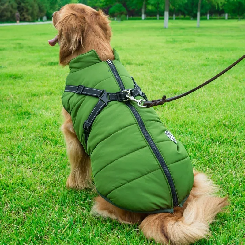 Small dog wearing a waterproof reflective coat with zipper and adjustable strap, available in multiple colours and nine sizes