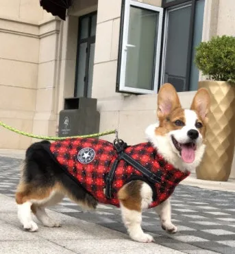 Small dog wearing a waterproof reflective coat with zipper and adjustable strap, available in multiple colours and nine sizes
