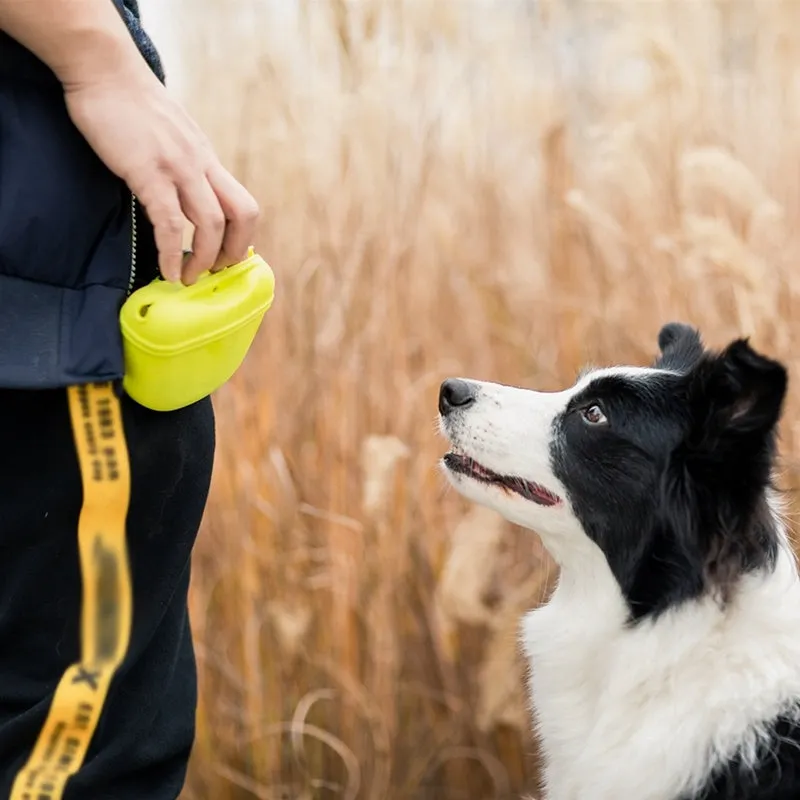 Silicone dog training treat waist bag with clip, shown in various colours.