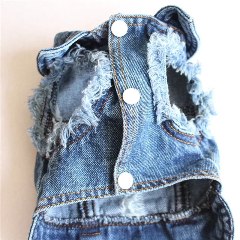 Ripped fringe denim pet vest for dogs with tassel detail in casual style