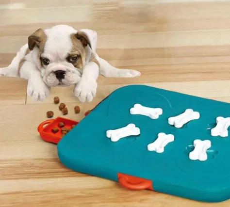 Blue Pet Casino Treasure Hunt Puzzle Food Spill Toy made of lightweight plastic for slow feeding