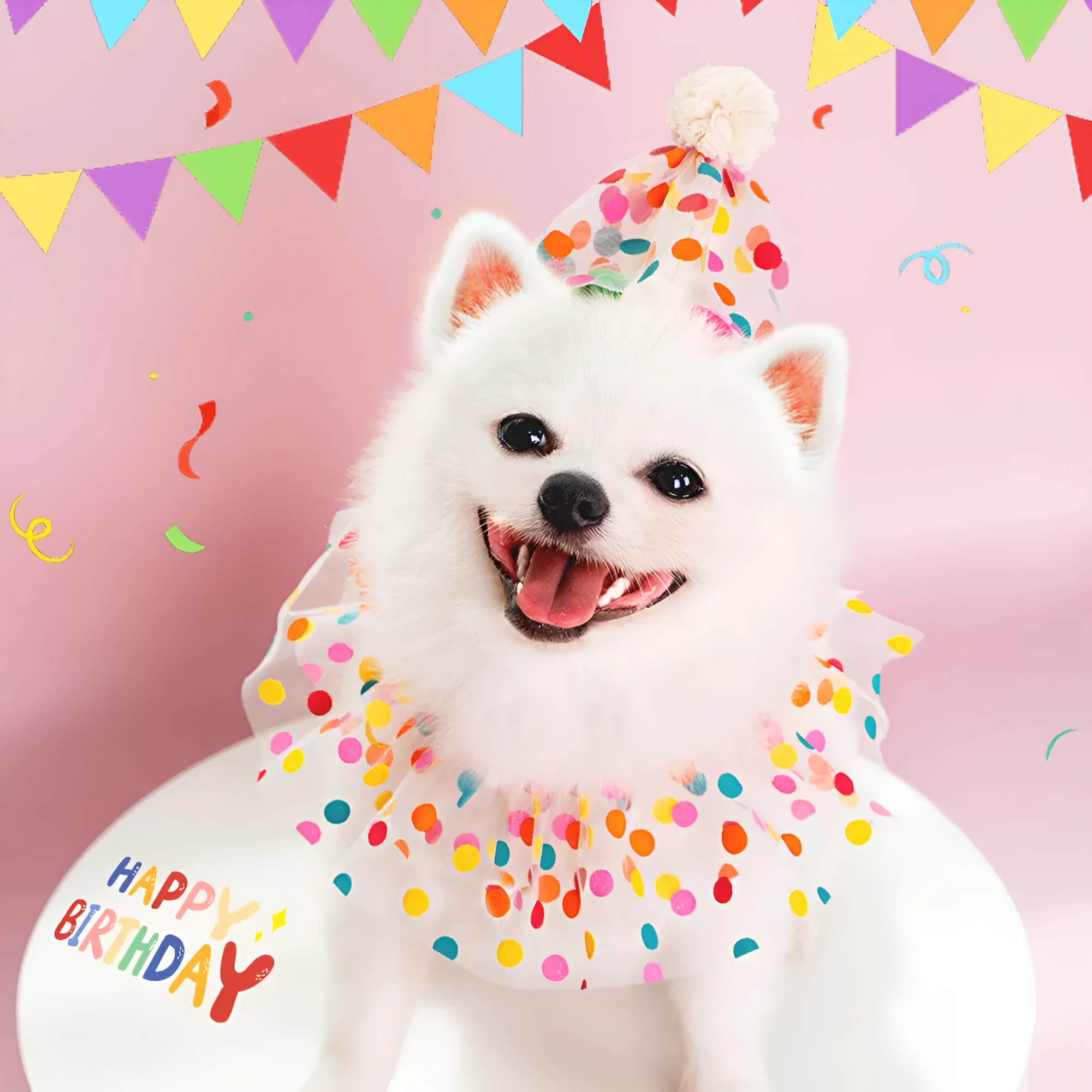 Polka dot lace bib dog birthday suit with hat and saliva towel in colourful dots