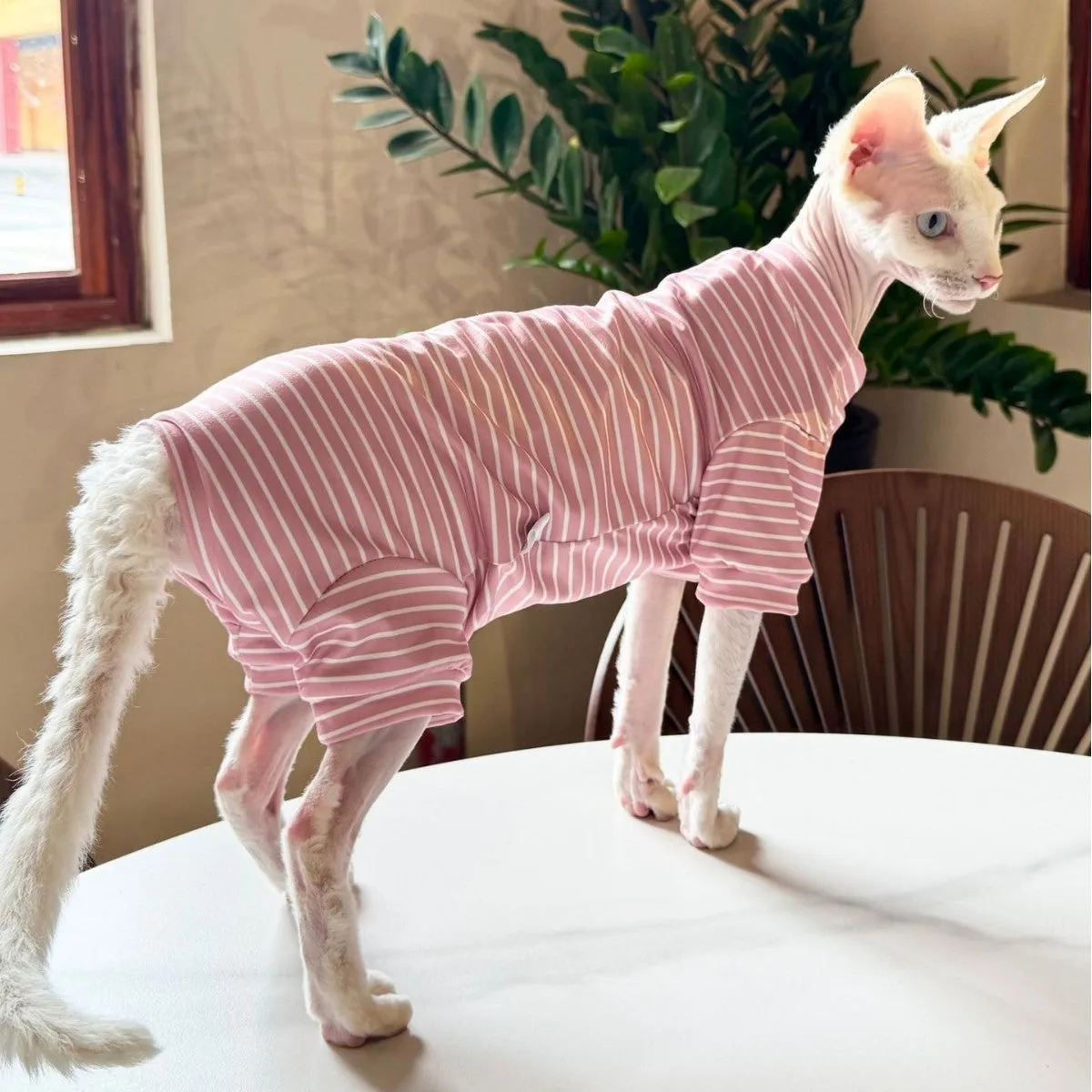 Breathable polyester cat four-legged clothing in blue purple colour, side view on cat