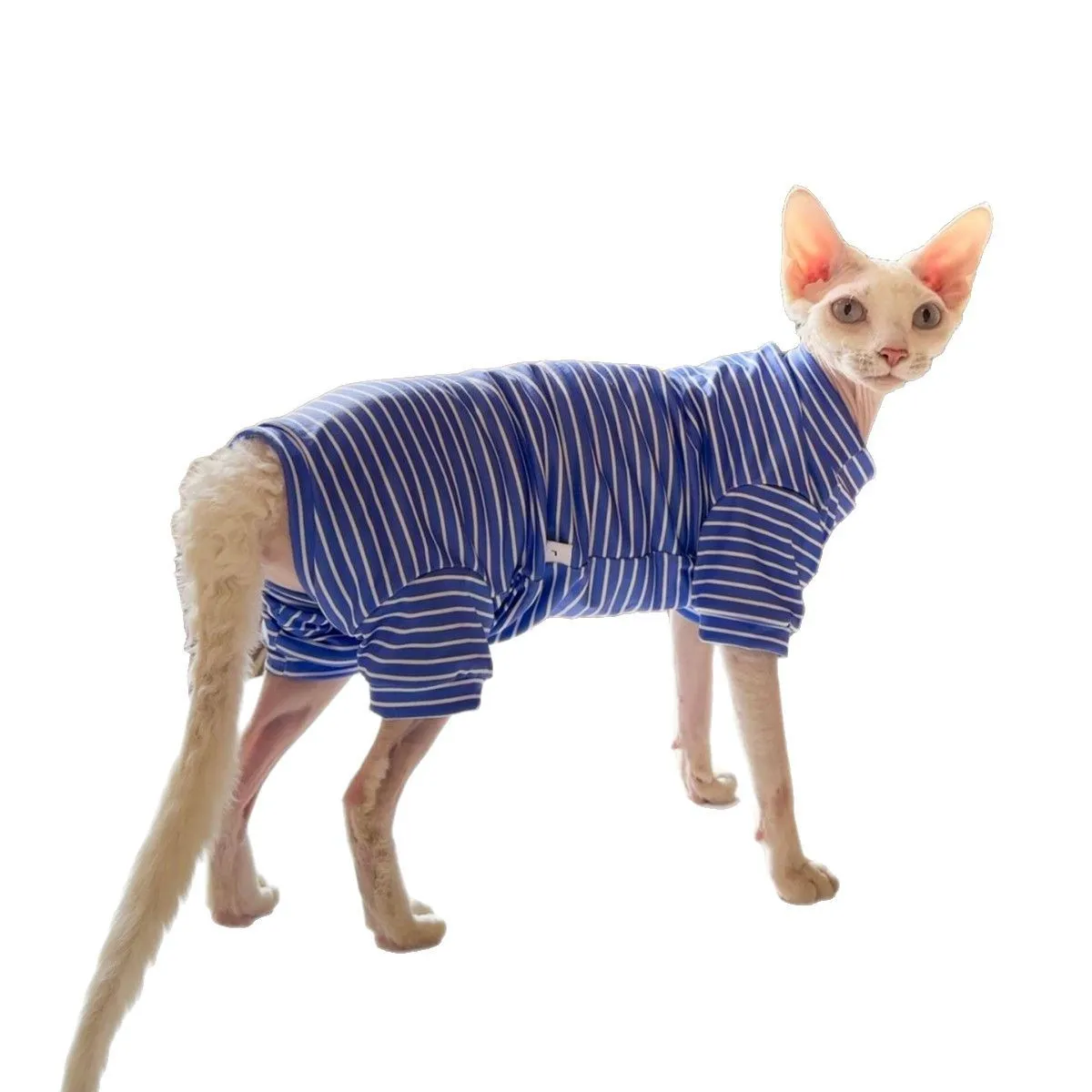 Breathable polyester cat four-legged clothing in blue purple colour, side view on cat