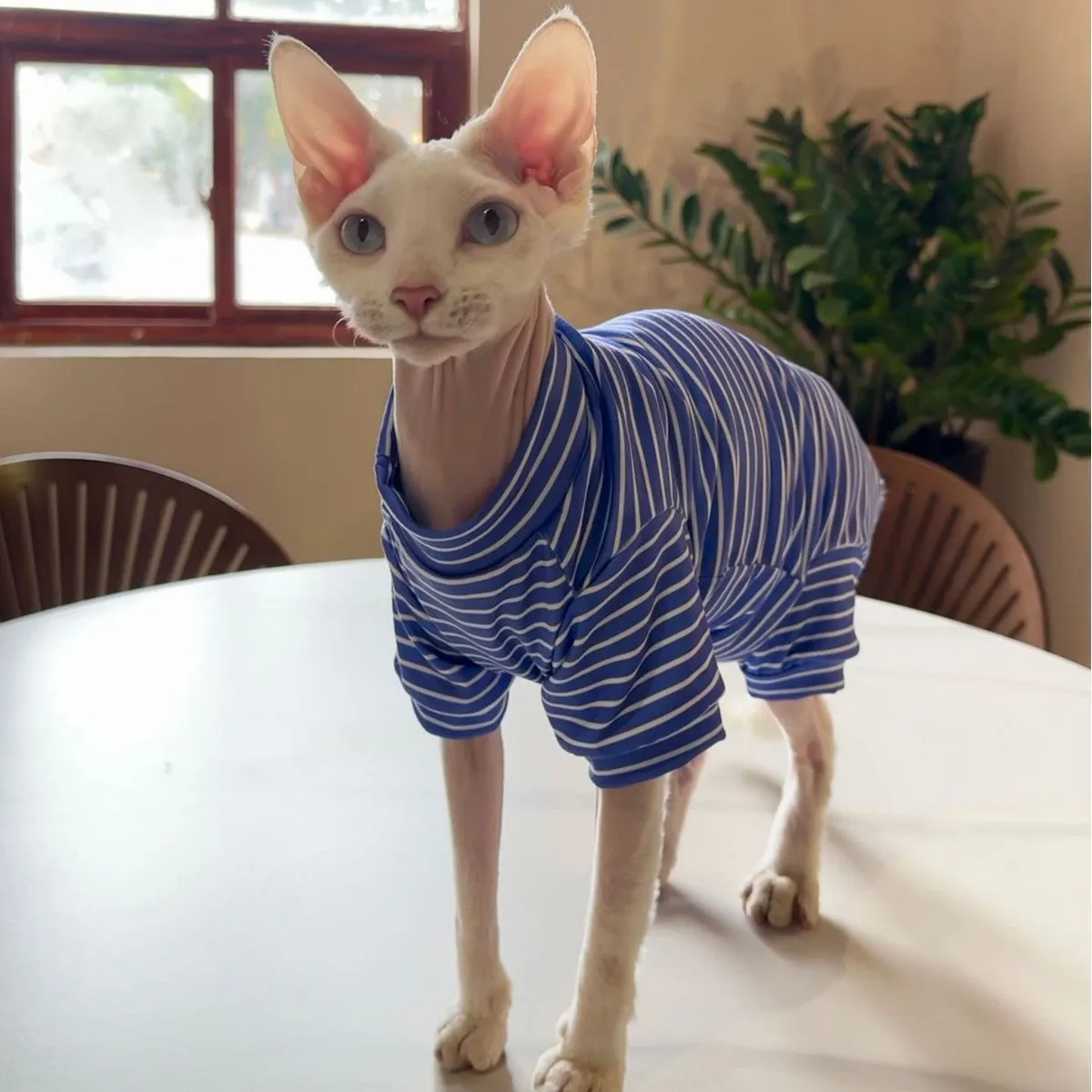 Breathable polyester cat four-legged clothing in blue purple colour, side view on cat