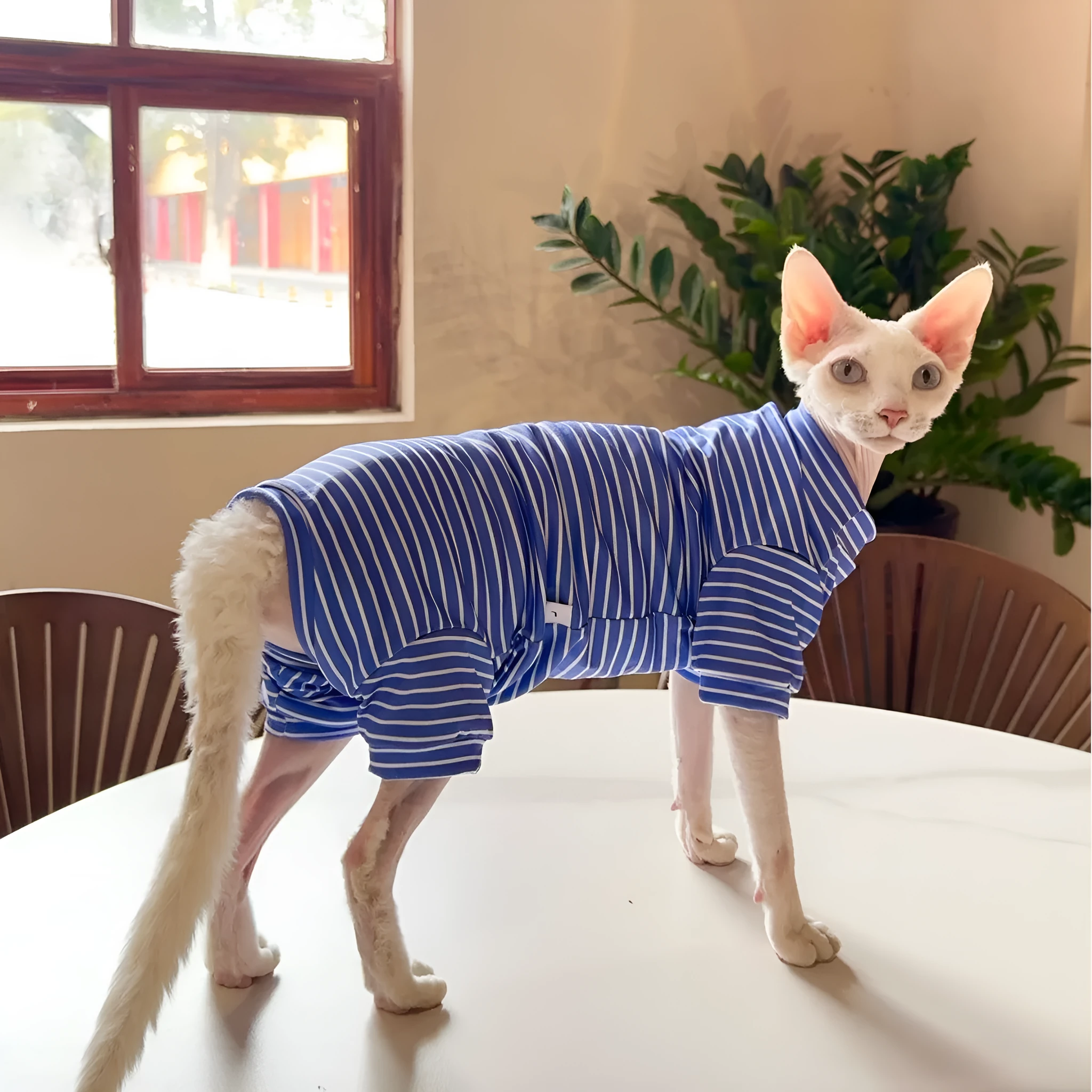 Breathable polyester cat four-legged clothing in blue purple colour, side view on cat