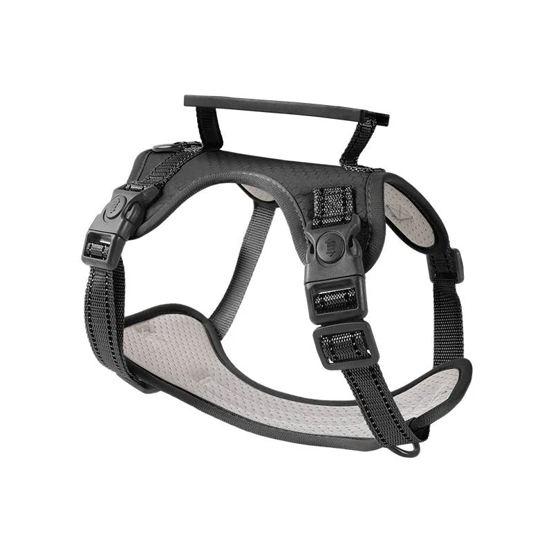 A polyester dog chest harness and matching leash set shown in a choice of colours.