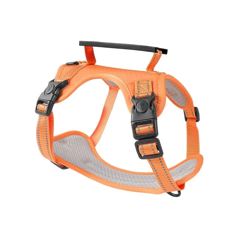 A polyester dog chest harness and matching leash set shown in a choice of colours.