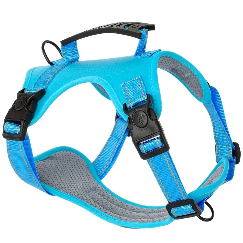 A polyester dog chest harness and matching leash set shown in a choice of colours.