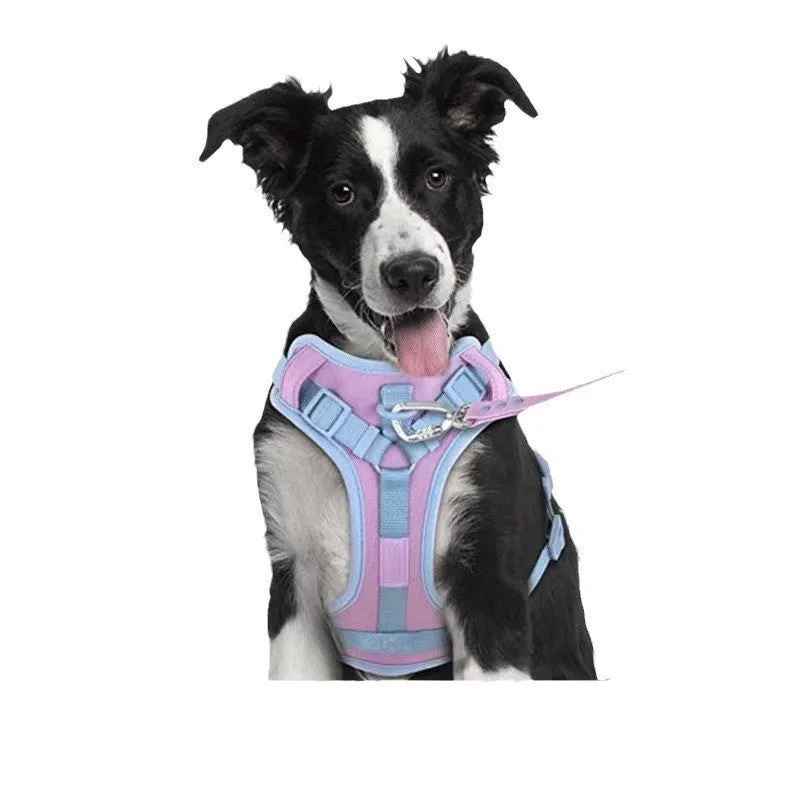 Fabric dog chest strap harness with hand-holding rope in pink and blue colour