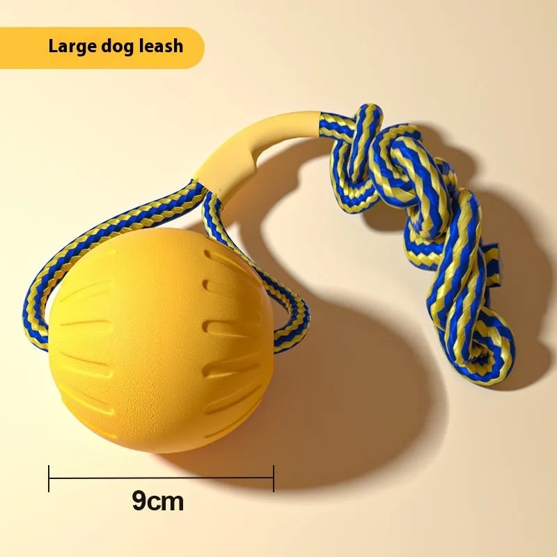 DogJingdang large dog chewing rope and EVA Frisbee for Border Collie training play