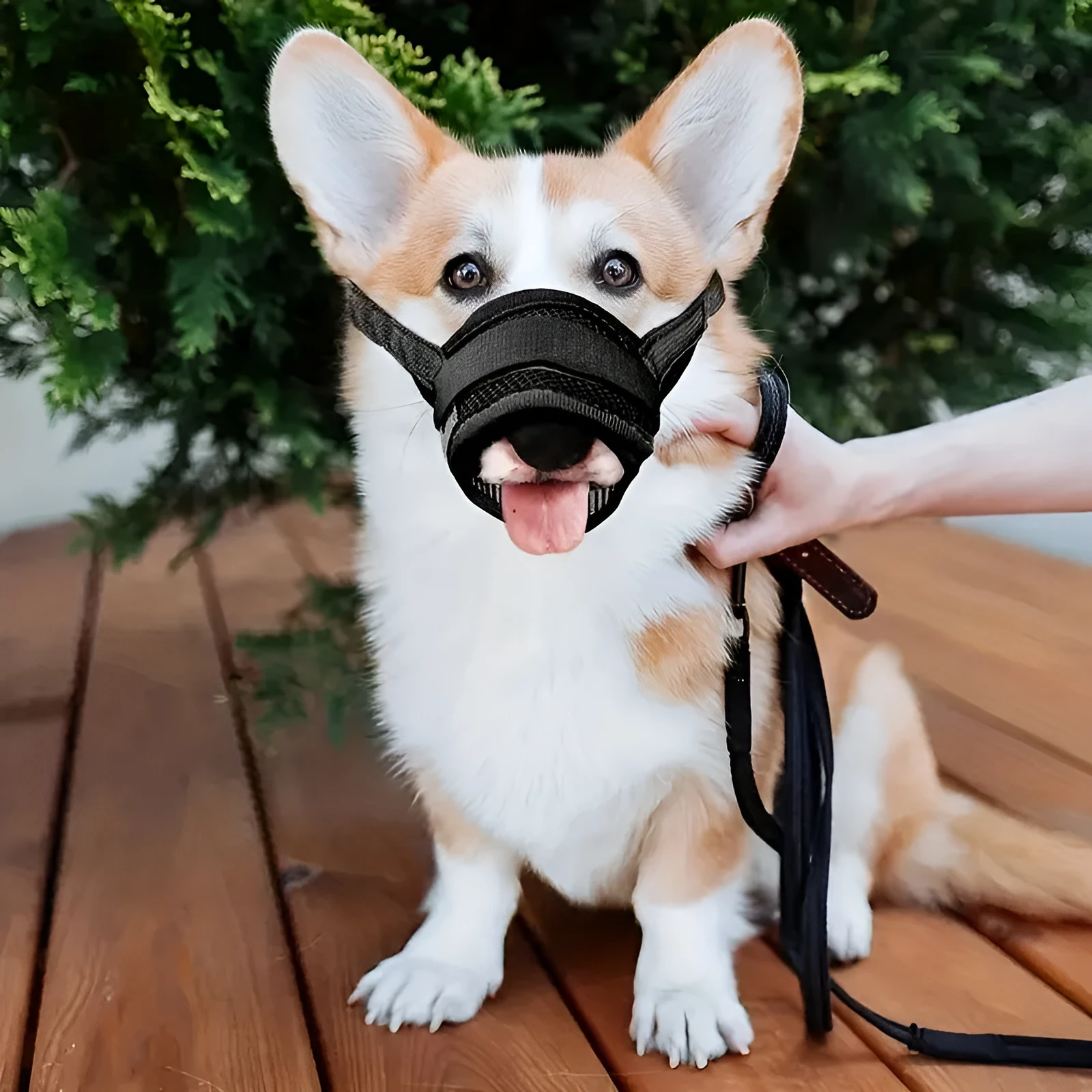 Black polyester dog muzzle anti-bite anti-bark with adjustable straps in five sizes L M S XL XXL