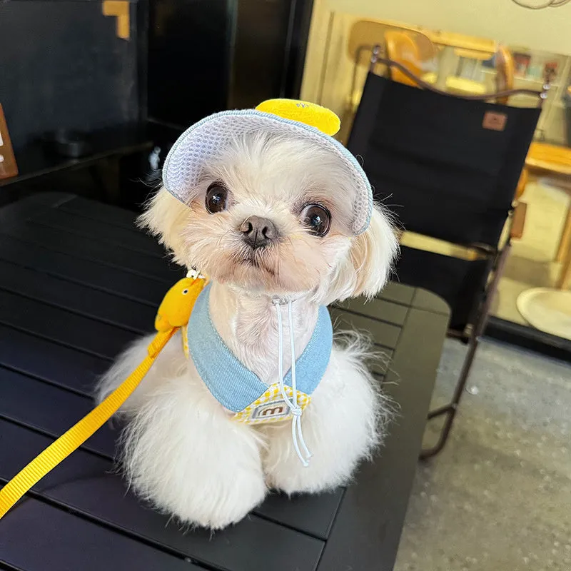 Three-piece pet set showing dog harness with leash, wire rope pulling toy and cat wearing matching clothes with hat