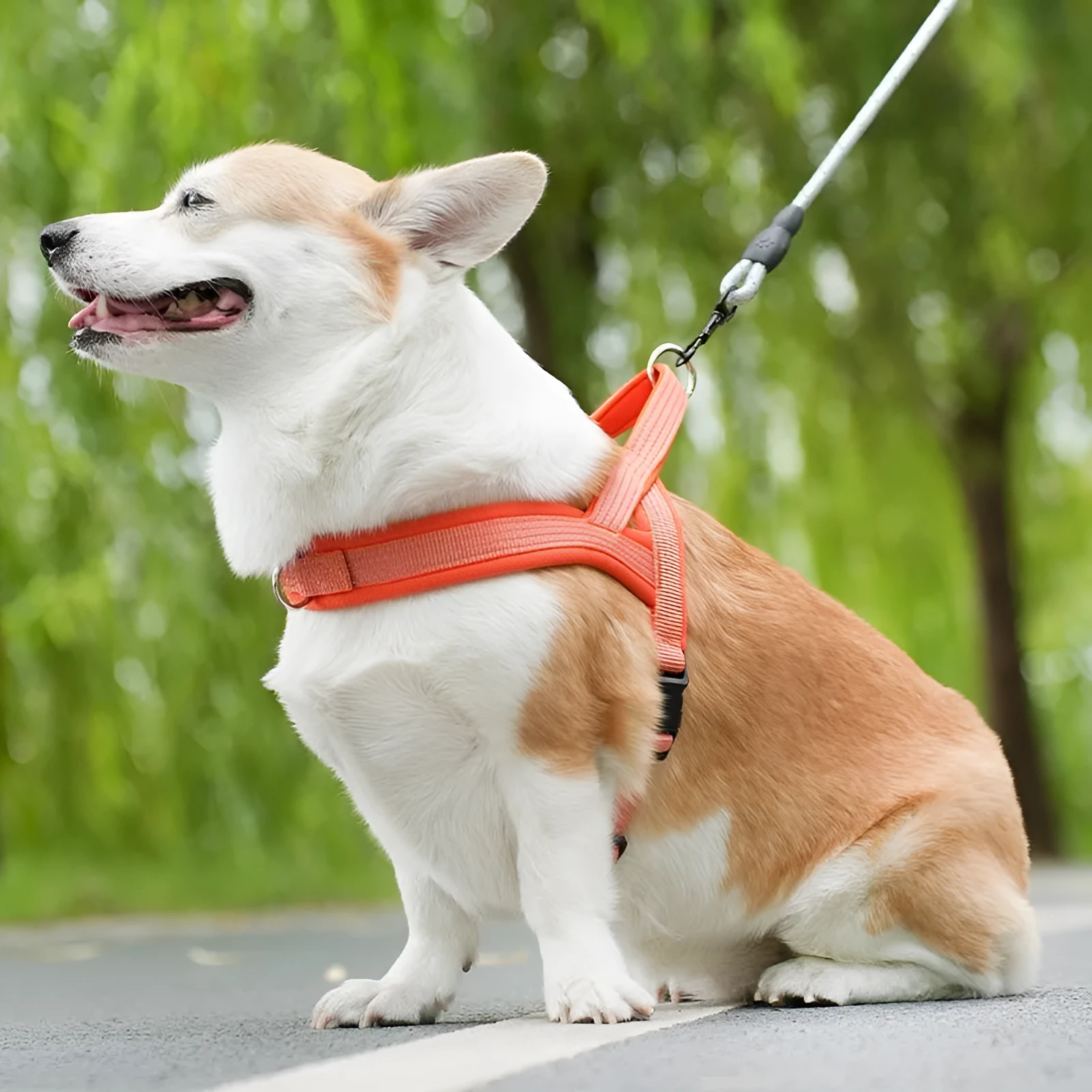 Reflective black dog chest strap with hand-holding rope on a white background