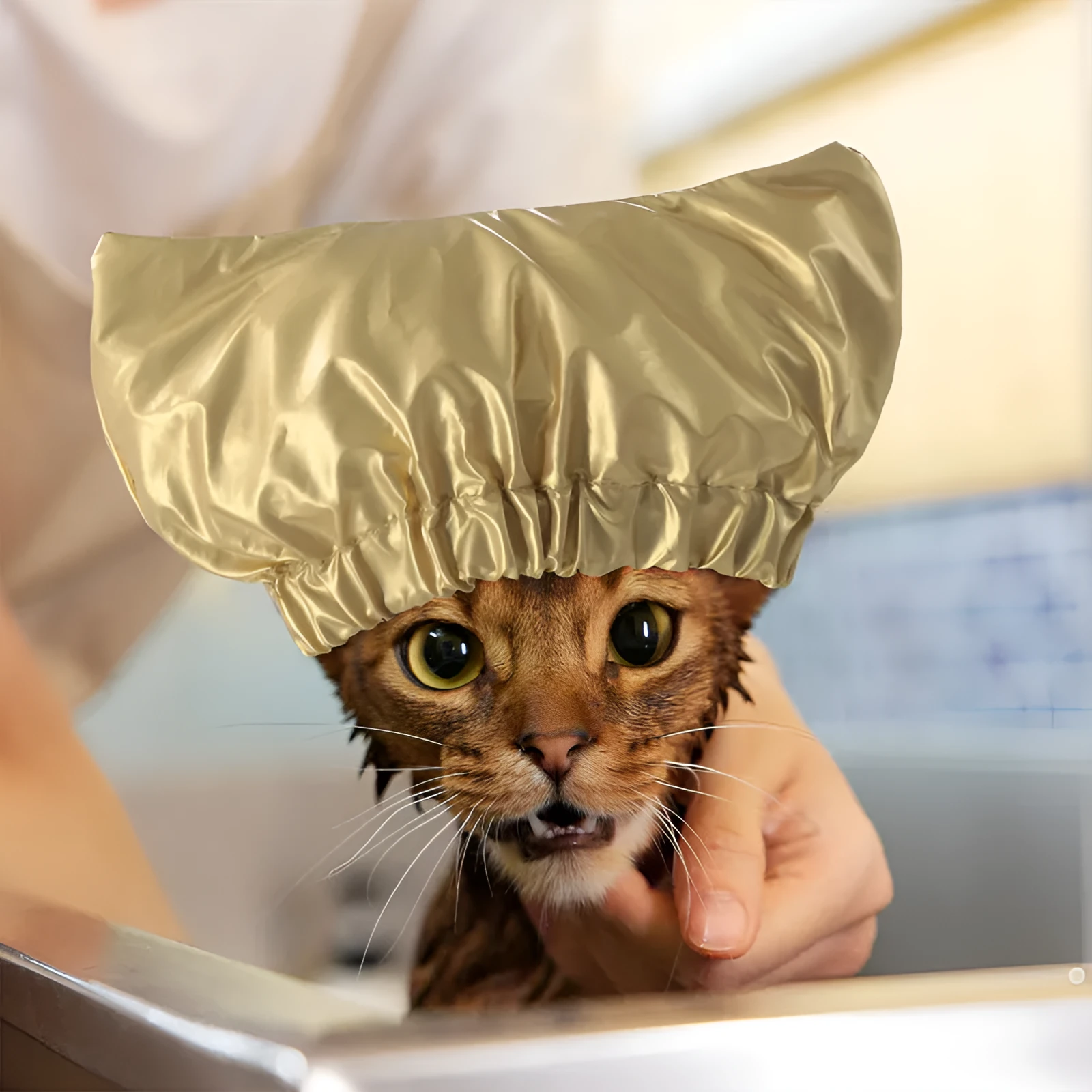 Adjustable waterproof shower cap for dogs and cats in silver, pink, or gold.