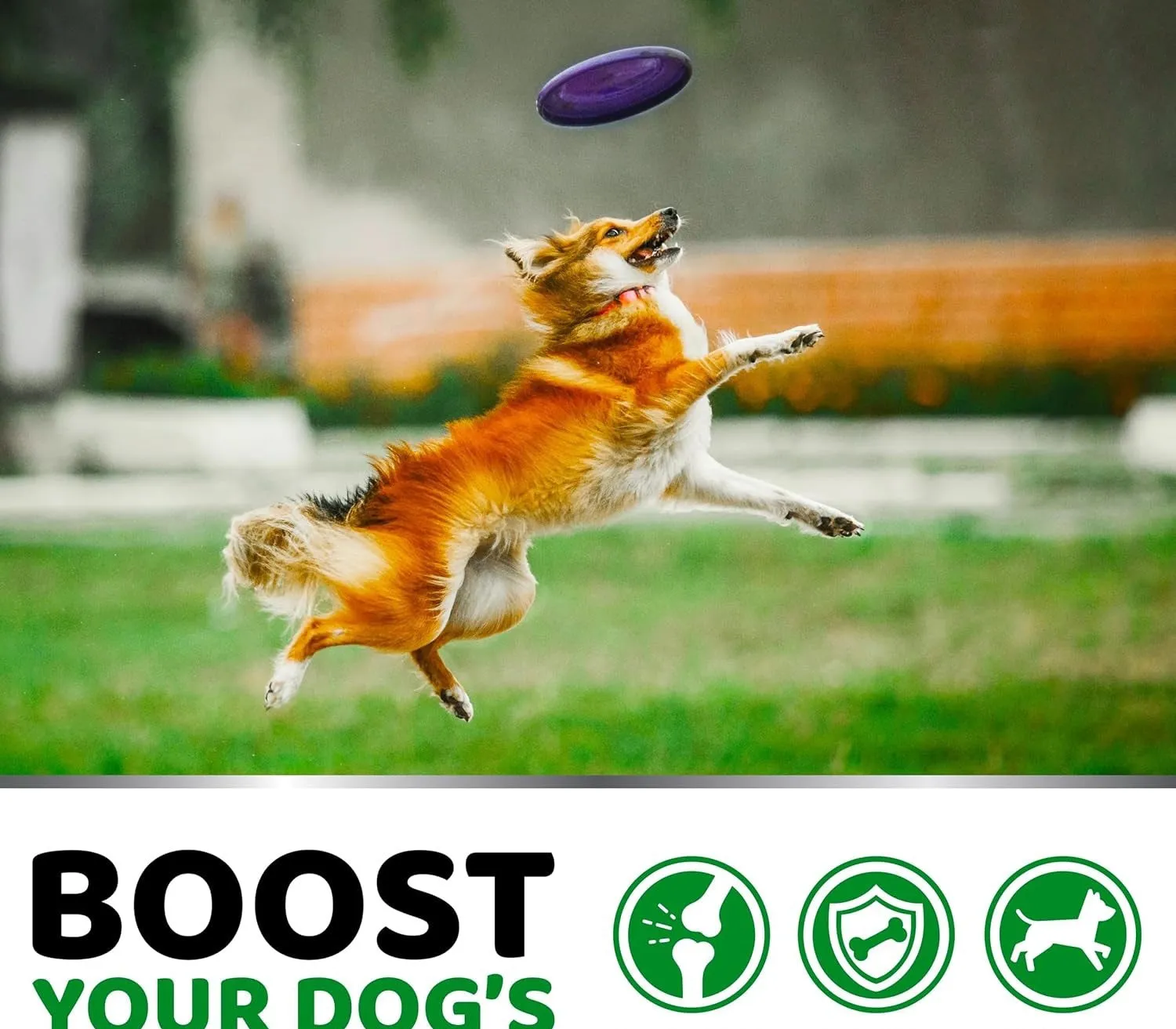 Pet hip and joint supplement chondroitin soft particles for dog joint support