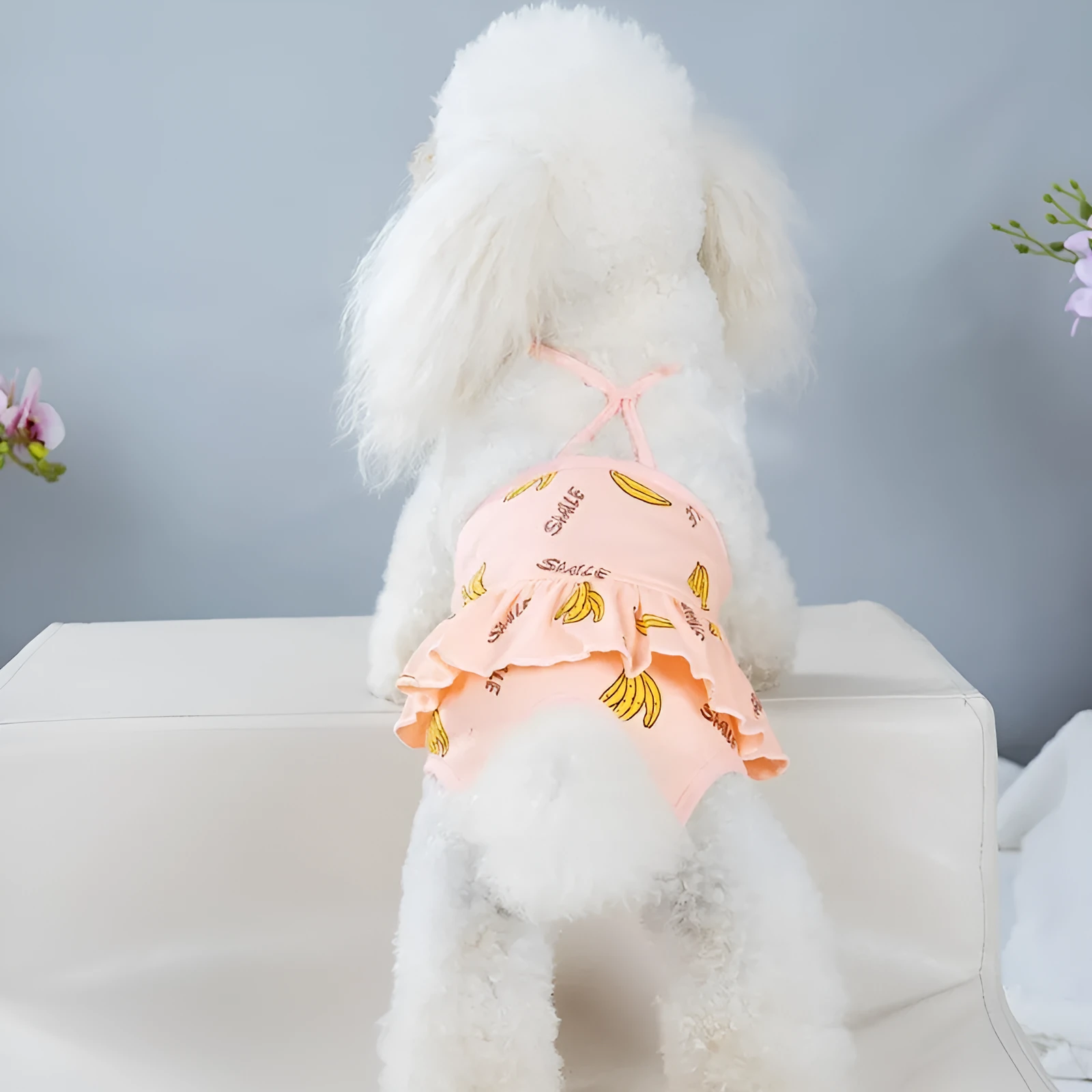 Blue washable cotton female dog menstrual safety pants from Bull