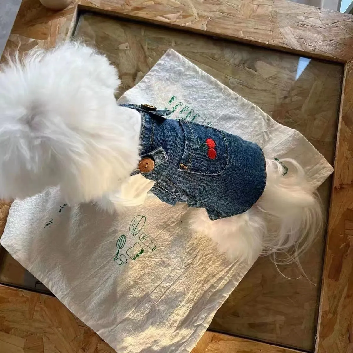 Small dog wearing a cherry dark blue denim skirt for spring summer