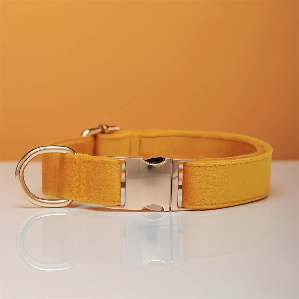Striped wool dog collar in coral orange with attached leash on a neutral background