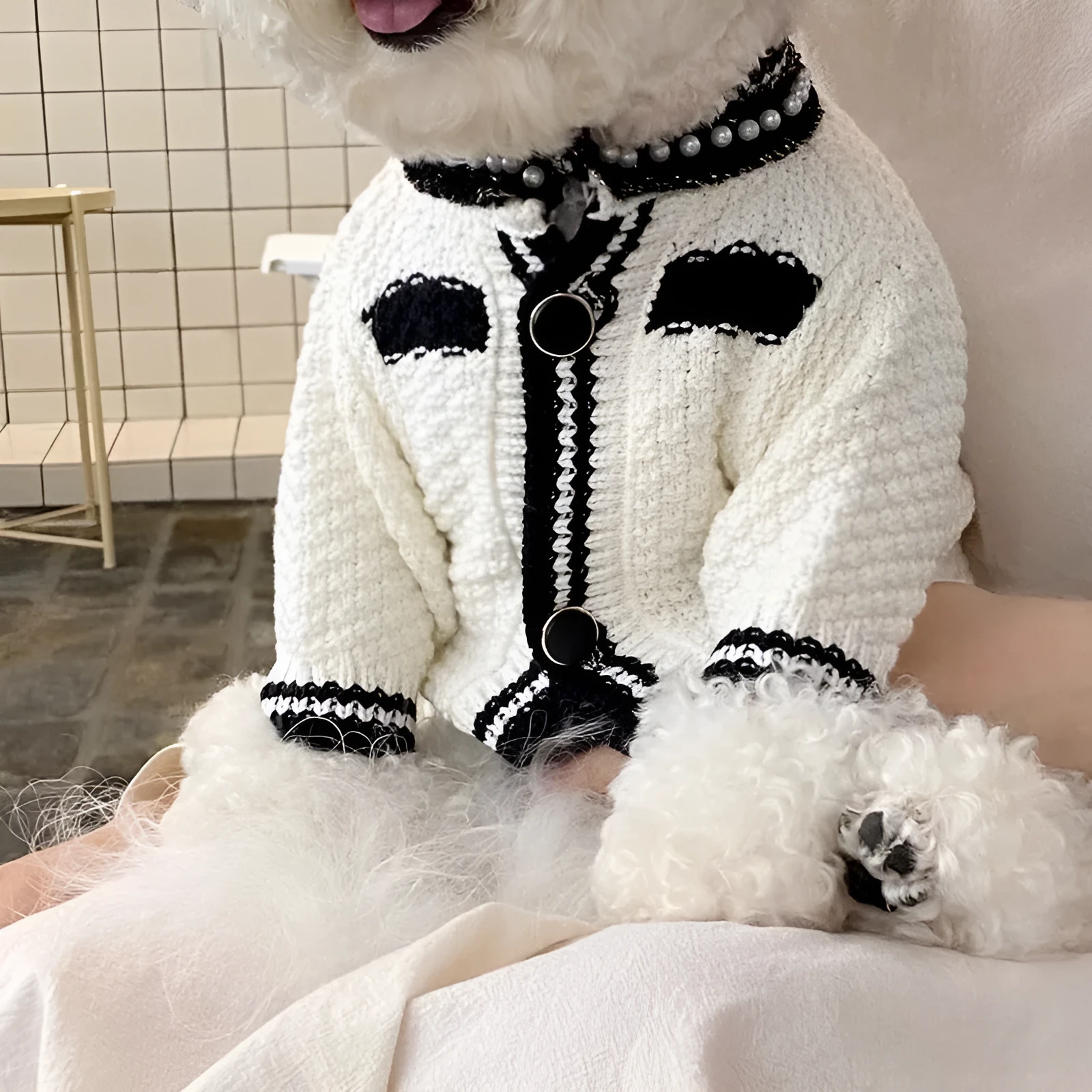 Korean style white pearl collar dog sweater on small puppy showing princess-style pet clothing