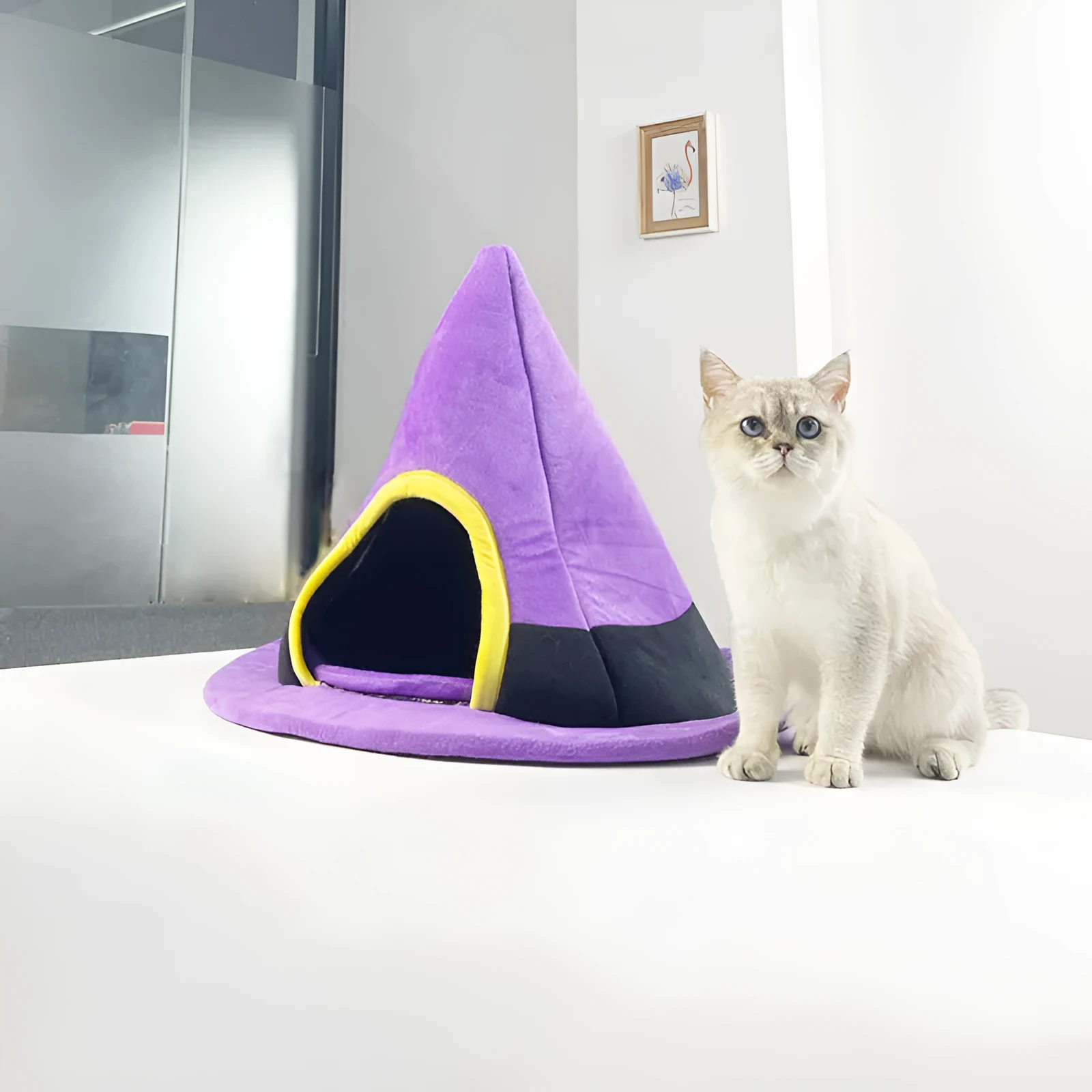 Purple cloth Halloween witch hat shaped cat bed for small cats.