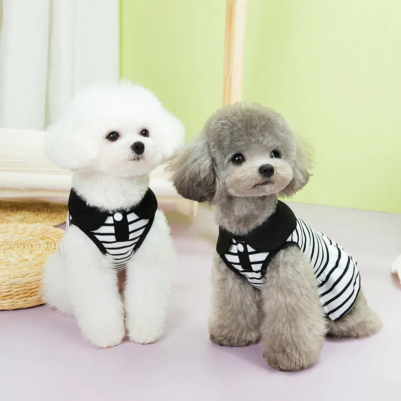 A dog wearing a striped cotton t-shirt and matching skirt summer outfit set.