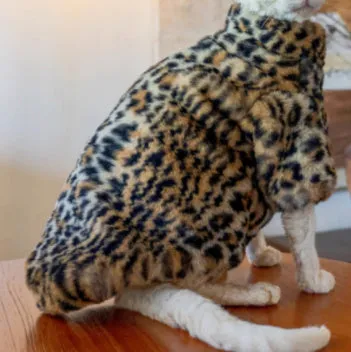 Fluffy leopard pattern short plush cat coat for hairless breeds on a Sphynx cat