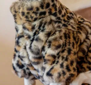 Fluffy leopard pattern short plush cat coat for hairless breeds on a Sphynx cat