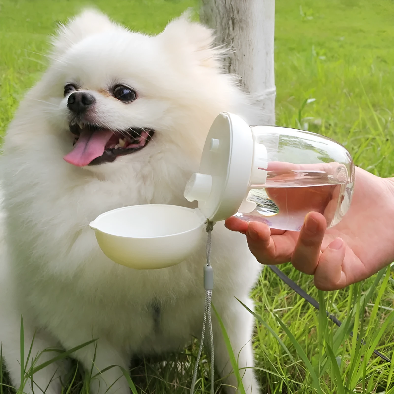 Portable dog water bottle with attached cup in white, 300ml capacity for walking and travel