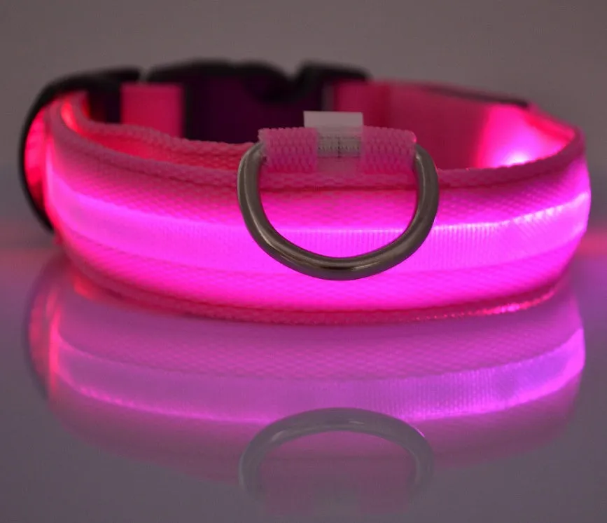 Nylon LED dog collar glowing blue on a black background, with adjustable buckle and four light modes for pet night safety