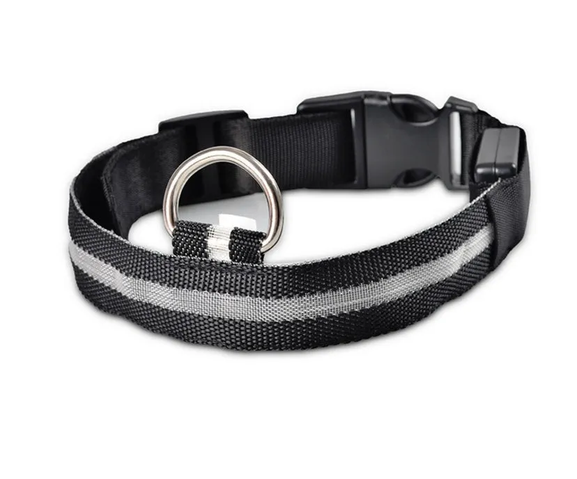 Nylon LED dog collar glowing blue on a black background, with adjustable buckle and four light modes for pet night safety