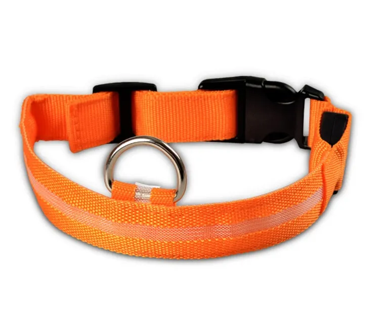 Nylon LED dog collar glowing blue on a black background, with adjustable buckle and four light modes for pet night safety