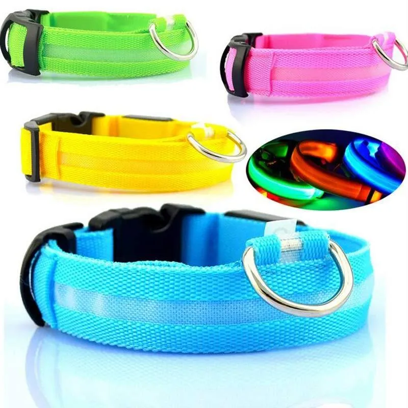 Nylon LED dog collar glowing blue on a black background, with adjustable buckle and four light modes for pet night safety