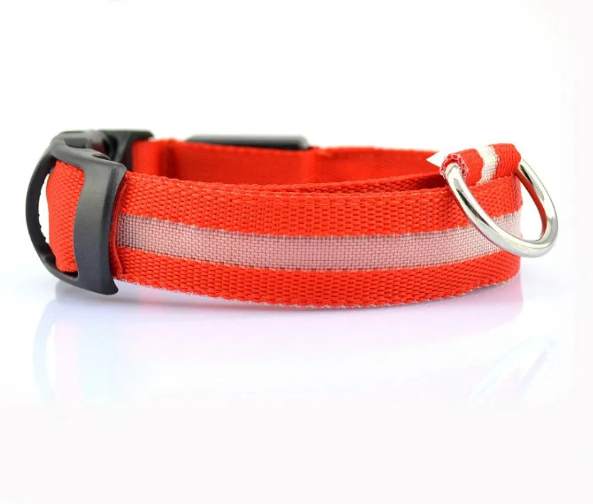 Nylon LED dog collar glowing blue on a black background, with adjustable buckle and four light modes for pet night safety