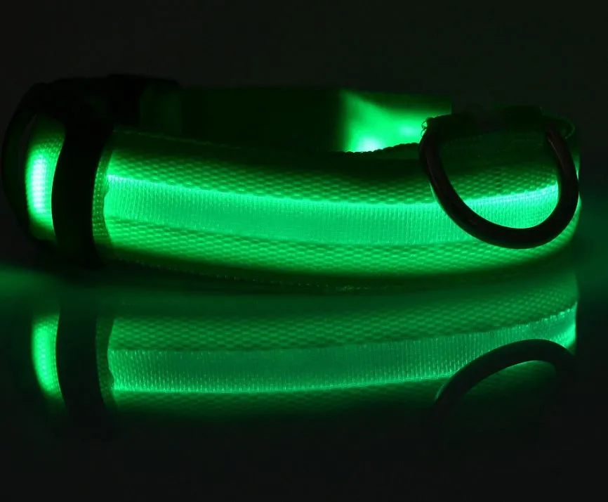 Nylon LED dog collar glowing blue on a black background, with adjustable buckle and four light modes for pet night safety
