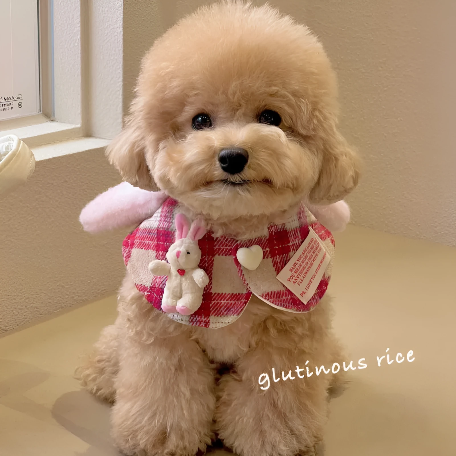 Red plaid rabbit ear pet scarf for dogs and cats, plastic material, three sizes S M L