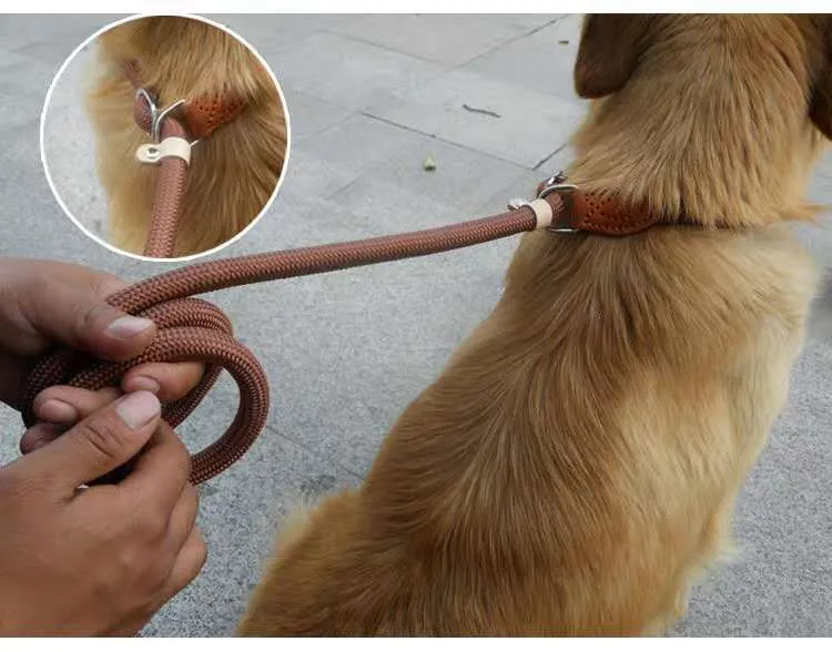 Brown nylon P chain dog leash with hand-holding rope, shown at full 2.1 metre length.