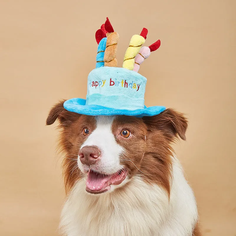 Blue and pink dog birthday hats for canine birthday party celebrations