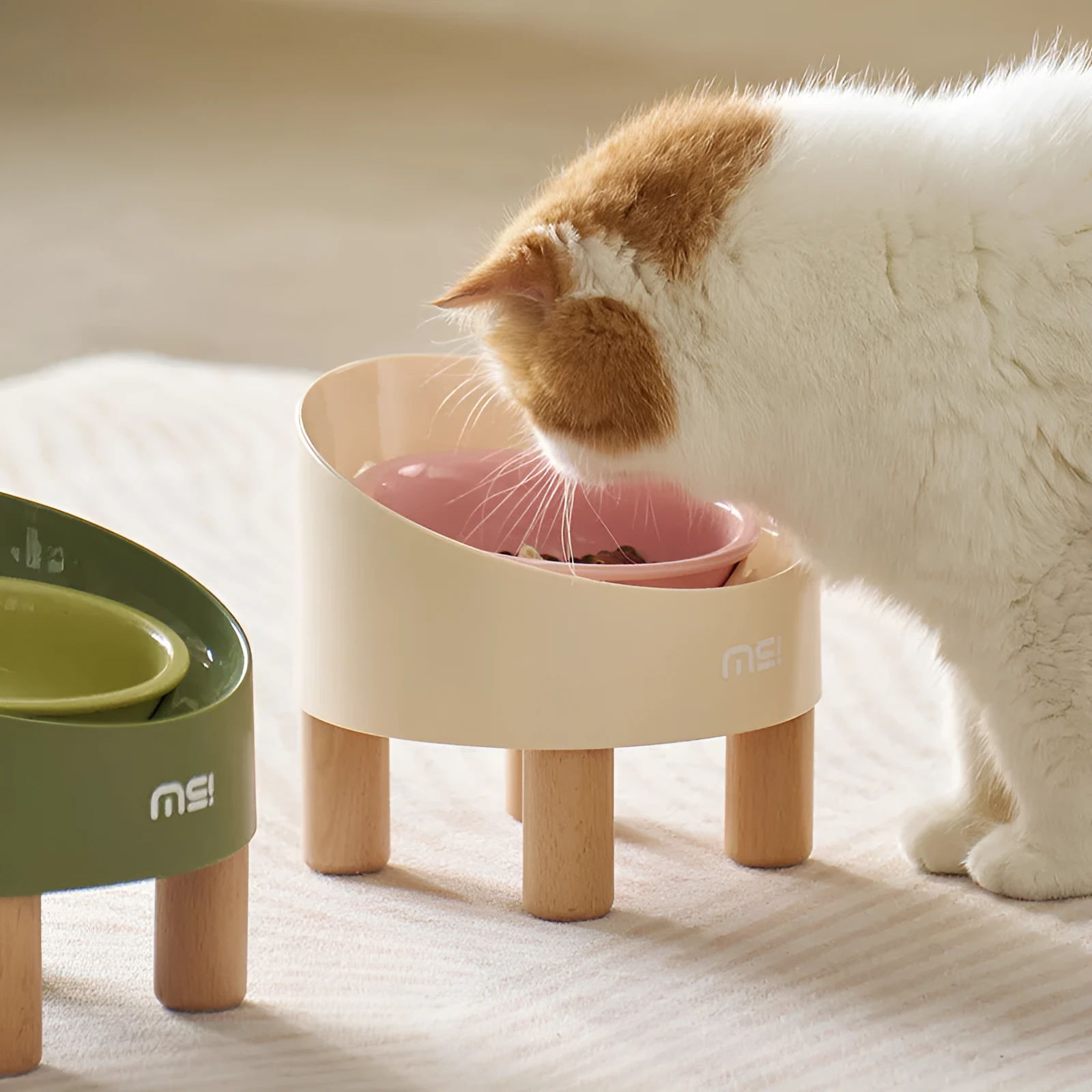 Blue purple cat ceramic food basin with high foot and oblique mouth on beech wooden feet