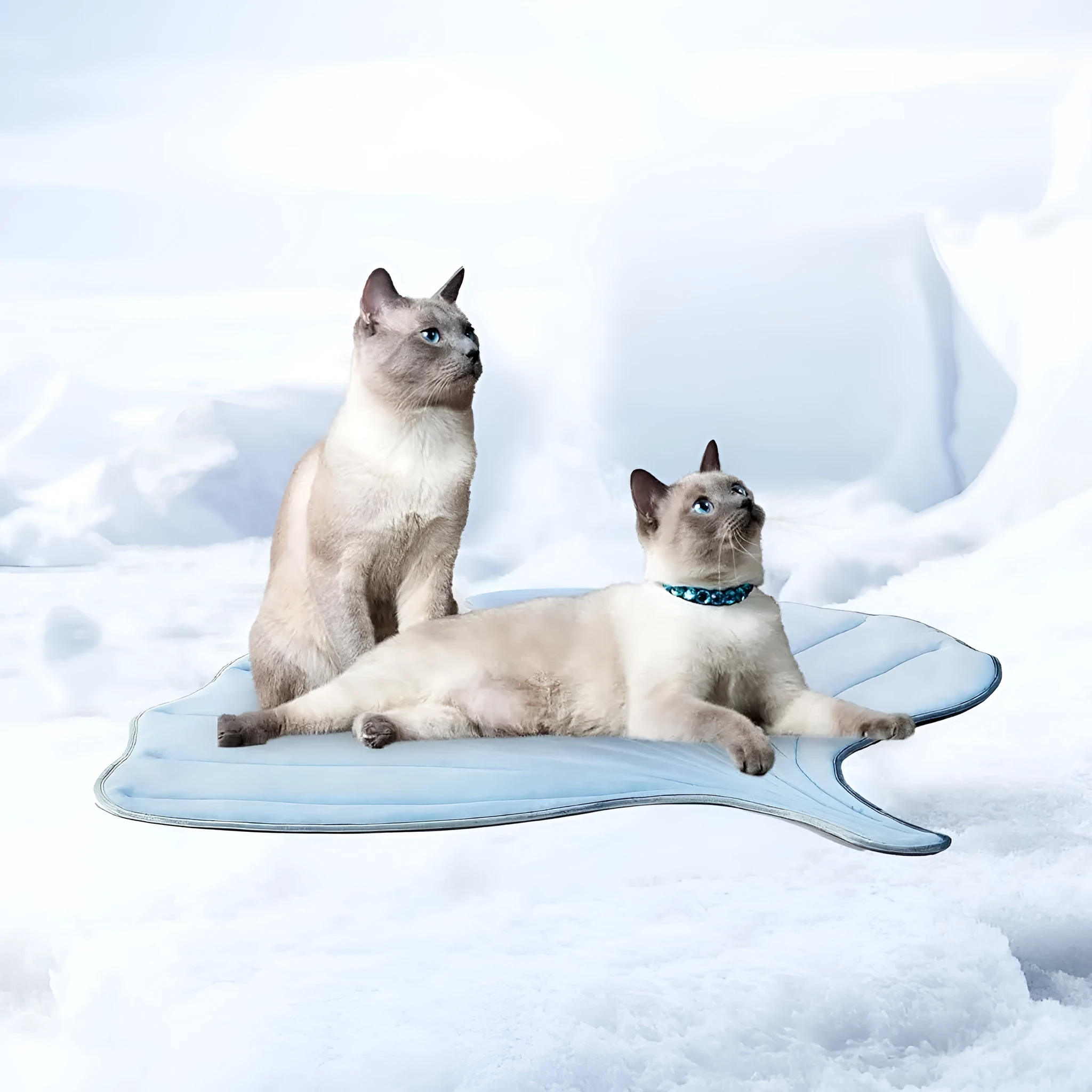 Summer cat cooling mat with ginkgo leaf shape in light blue on floor