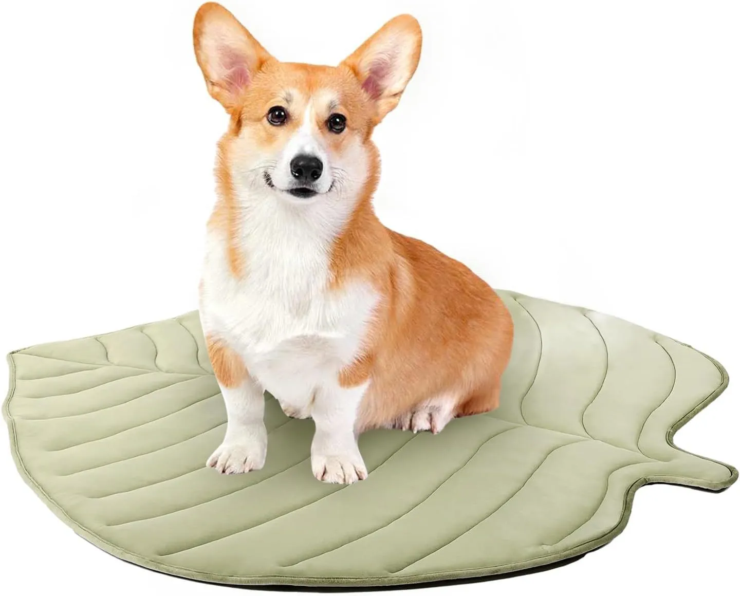 Summer cat cooling mat with ginkgo leaf shape in light blue on floor