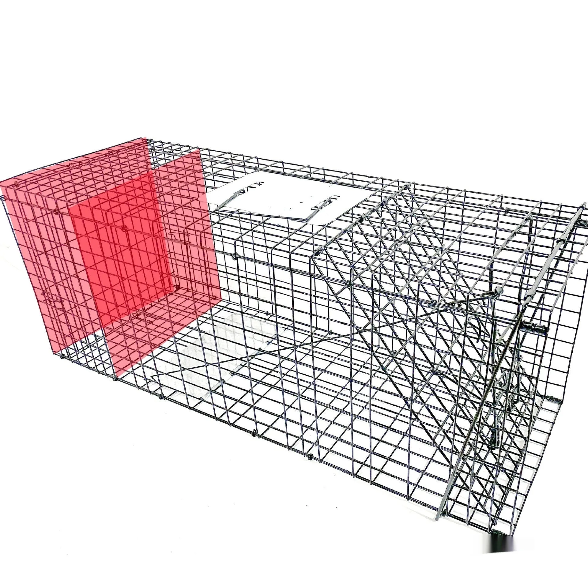 Fully automatic foldable galvanized steel cat trap cage with pedal mechanism, black finish, 60x20x18cm size