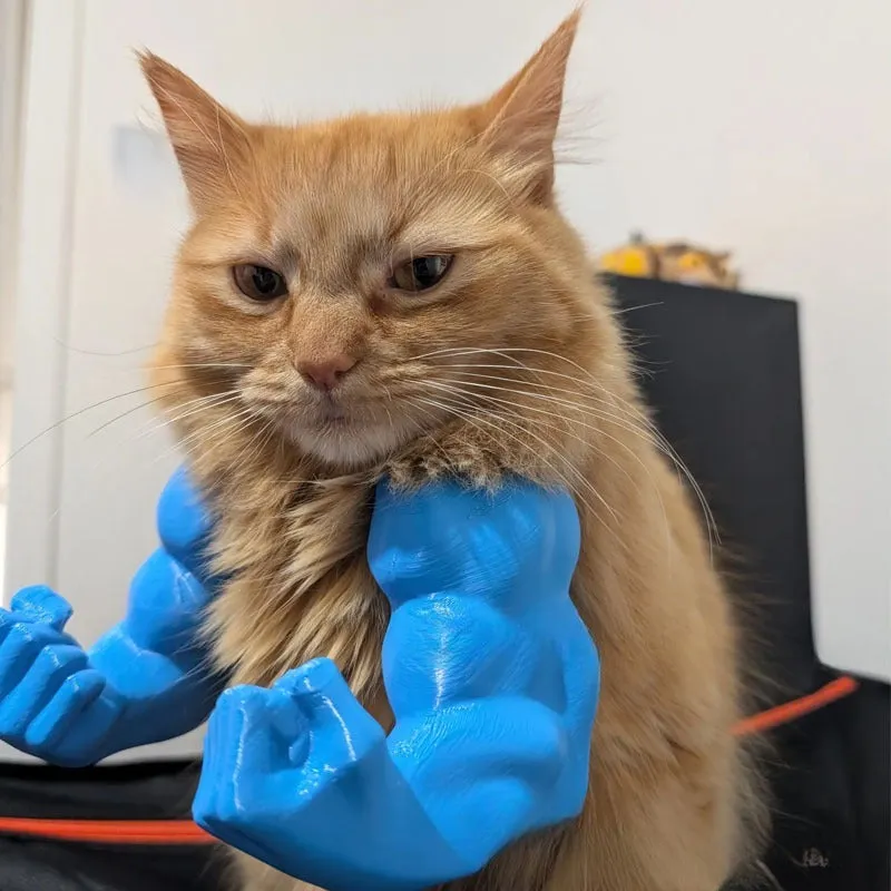 Funny cat hanging toy with plastic muscle arm design in orange