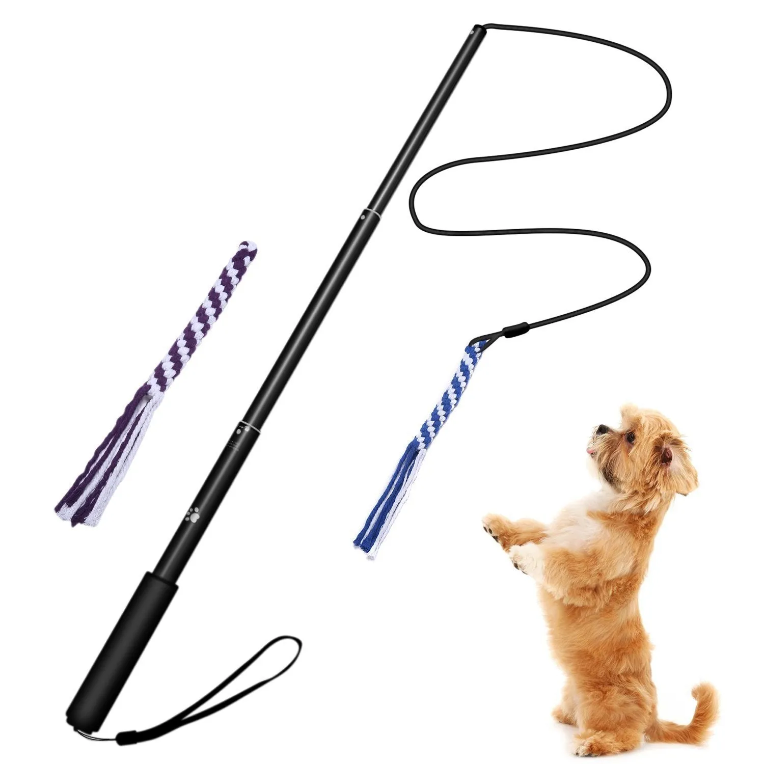 Telescopic aluminium alloy dog teasing stick, black small size, isolated on white background