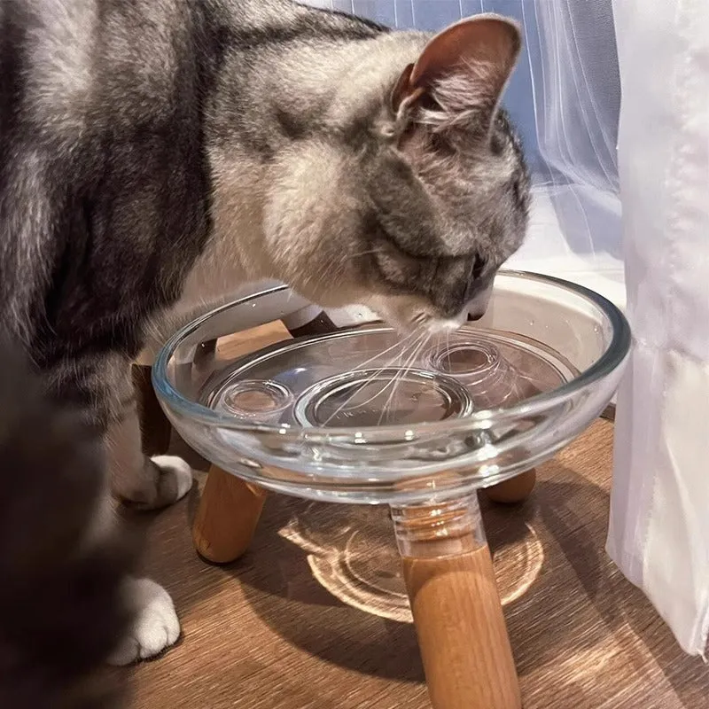 Pet bowl stand with glass bowl on light-coloured plastic shelf for cervical protection suitable for cats and dogs