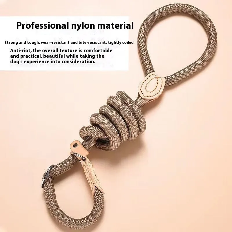 Nylon dog training rope in black, 1.5m length, 1.0cm thickness, on plain background