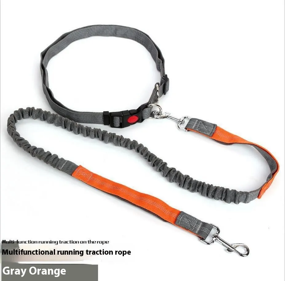 2.5cm wide elastic dog leash with reflective filament for night walking in blue and red colour combination