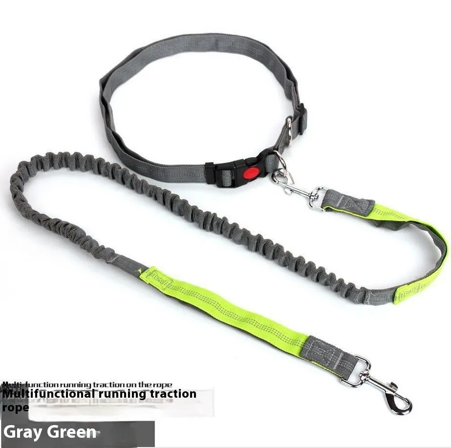 2.5cm wide elastic dog leash with reflective filament for night walking in blue and red colour combination